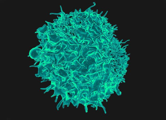 S36沙龙会 - 要玩就玩沙龙会