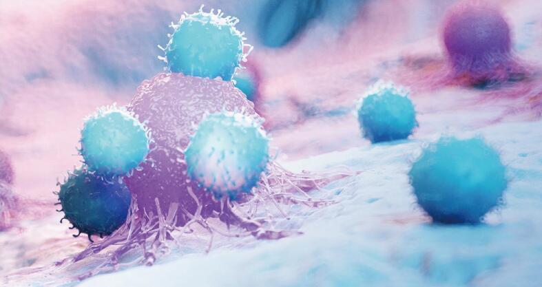 S36沙龙会 - 要玩就玩沙龙会