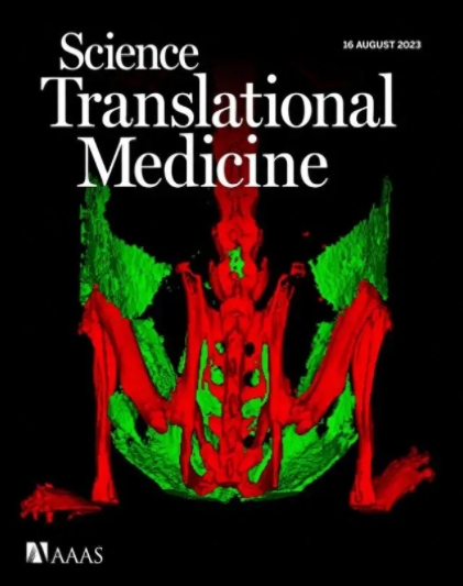 S36ɳ���� - Ҫ�����ɳ����