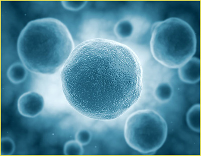 S36ɳ���� - Ҫ�����ɳ����