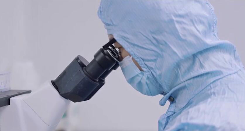 S36ɳ���� - Ҫ�����ɳ����